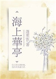 海上华亭txt小说下载