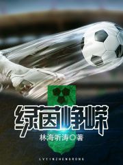 绿茵大脸猫